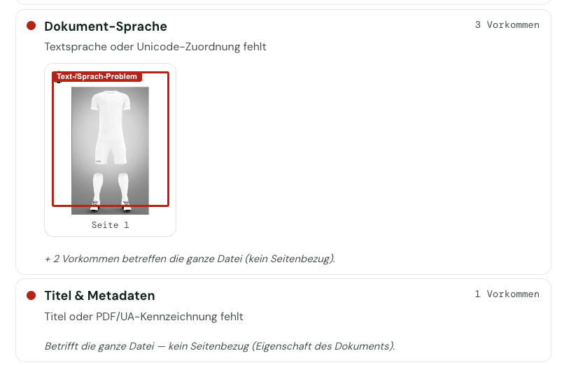 Befund auf gerenderter PDF-Seite markiert: rot umrandetes „Text-/Sprach-Problem“ mit Angabe „Seite 1“